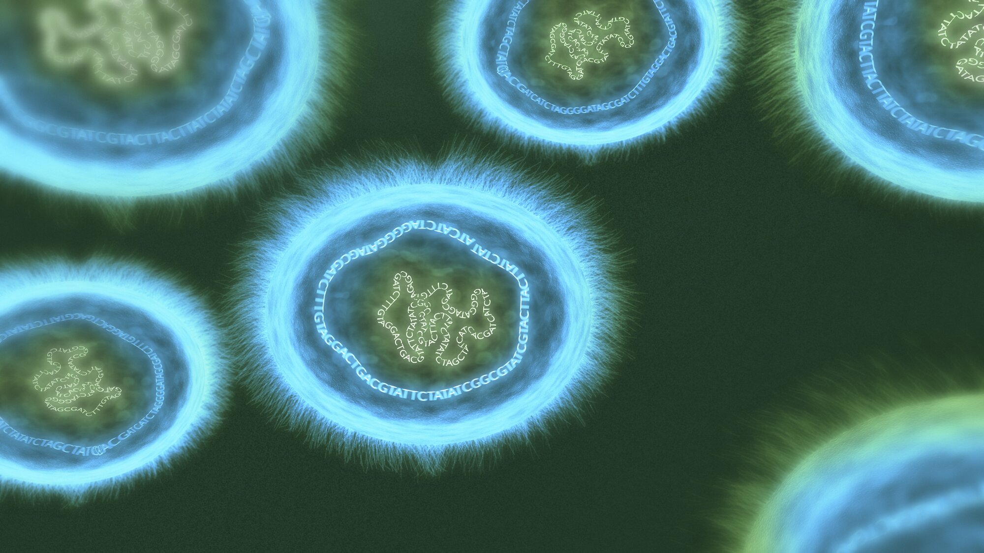 Bildet viser plasmider som inneholder små biter av arvemateriale.