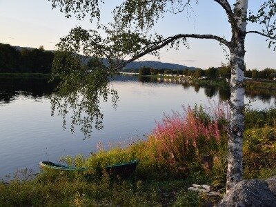 Selbu kommune bilde