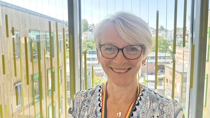 bilde av bovild tjønn