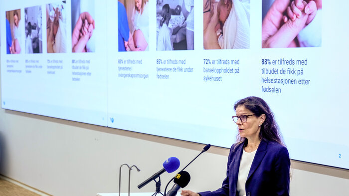 Cathrine M. Lofthus Bildet vise helsedirektør Cathrine M. Lofthus