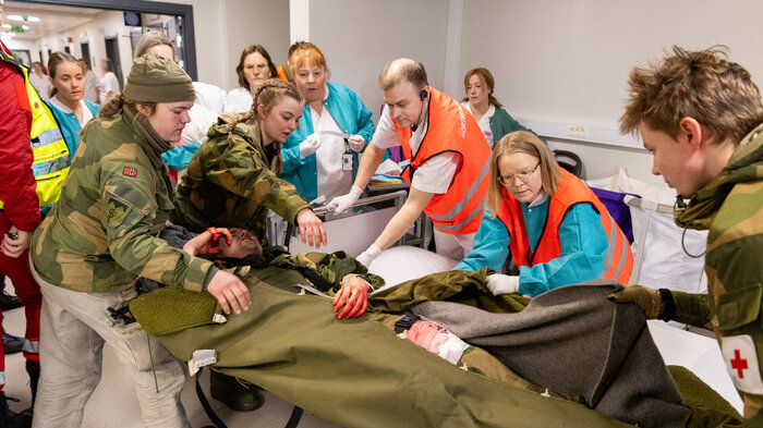 Øvelse Joint Viking 2025 Foto Lisa Skaar Næss Forsvaret