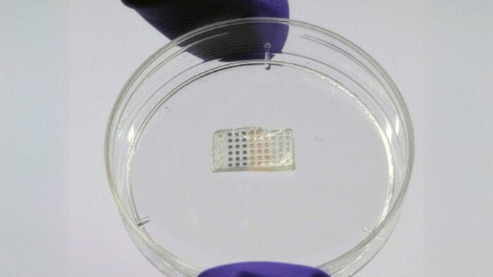 bilde av hjerteplasteret