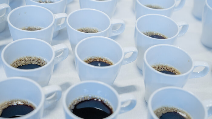 Bildet viser mange kopper med kaffe.