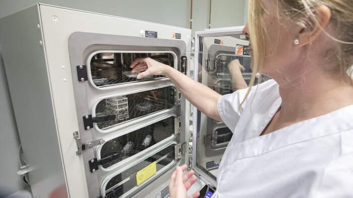 Bildet viser en sykepleier og en inkubator.