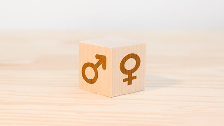 Bilde av kube med mannlig og kvinnelig symbol