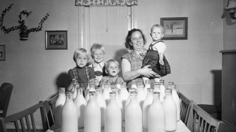 Melkemangel