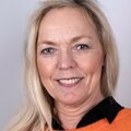 Bilde av Solgull Klette