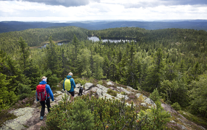 Bildet viser turgåere i skog
