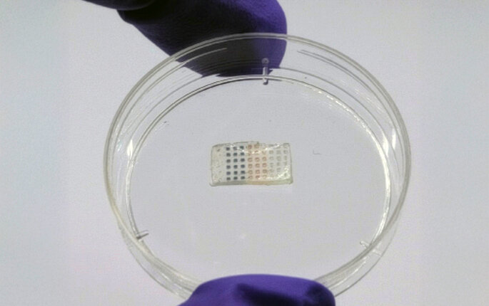 bilde av hjerteplasteret