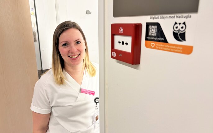 bilde av monica elisabeth hansen