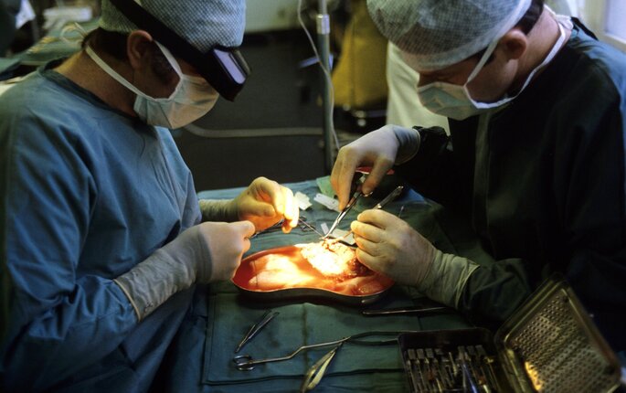 Bildet viser en nyretransplantasjon ved Rikshospitalet. To kirurger står over pasientens operasjonssår.