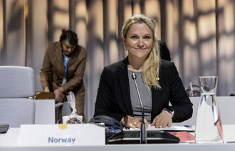 Bildet viser statssekretær Ellen Rønning-Arnesen (Ap) i Helse- og omsorgsdepartementet