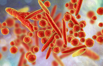 Bildet er et illustrasjonsfoto av mykoplasmabakterien