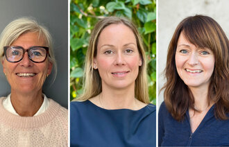Bildet viser de tre innleggsforfatterne