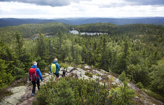 Bildet viser turgåere i skog