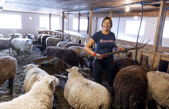 Bjørg Randmæl i fjøset Bildet viser Bjørg Randmæl i fjøset