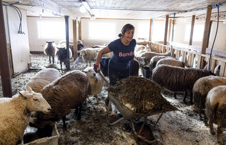 Bilde viser Bjørg Randmæl i sauefjøset