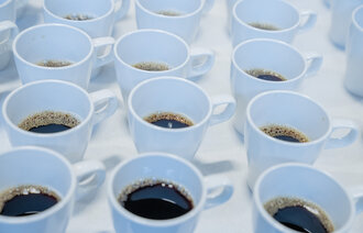 Bildet viser mange kopper med kaffe.