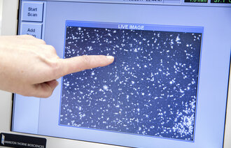 Bildet viser særprøver som vurderes.