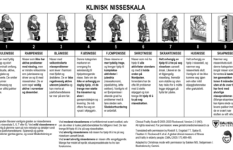 Bildet viser klinisk nisseskala.
