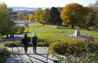 Bildet viser et parkområde i bydel St. Hanshaugen i desember.