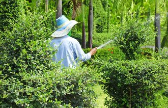 Bildet viser en eldre kvinne som vanner i hagen.