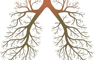 Illustrasjon av lunger i form av et tre med greiner