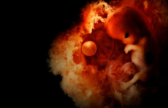 Bildet viser et foster