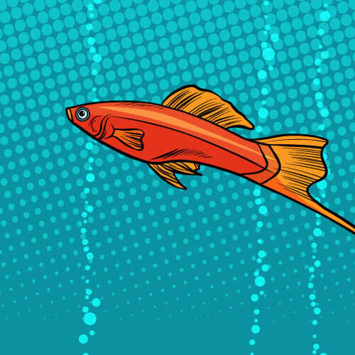 Bildet viser en svømmende fisk i vannet i tegneseriestil.