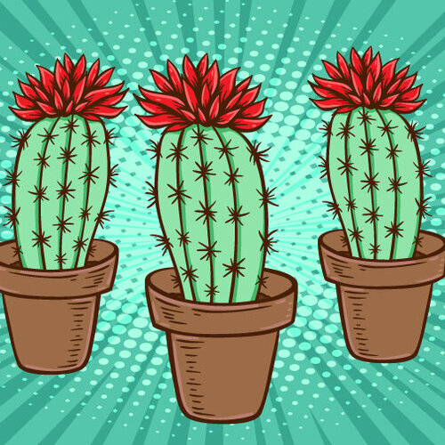 Illustrasjonen viser tre kaktuser.