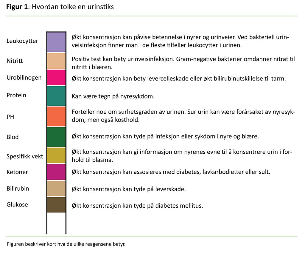 Figur 1 Figuren viser hvordan man tolker en urinstix. Figuren beskriver kort hva de ulike reagensene betyr.