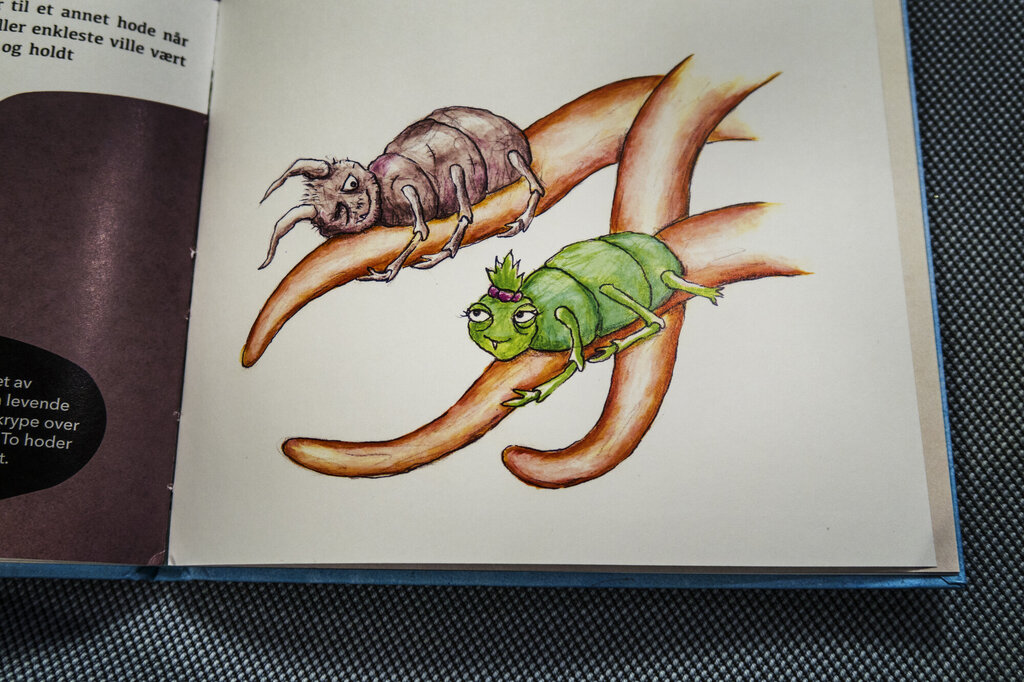 Illustrasjon fra boen «Den lille luseboka»
