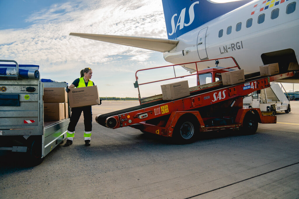 Bildet viser esker som blir transportert ombord i et fly.