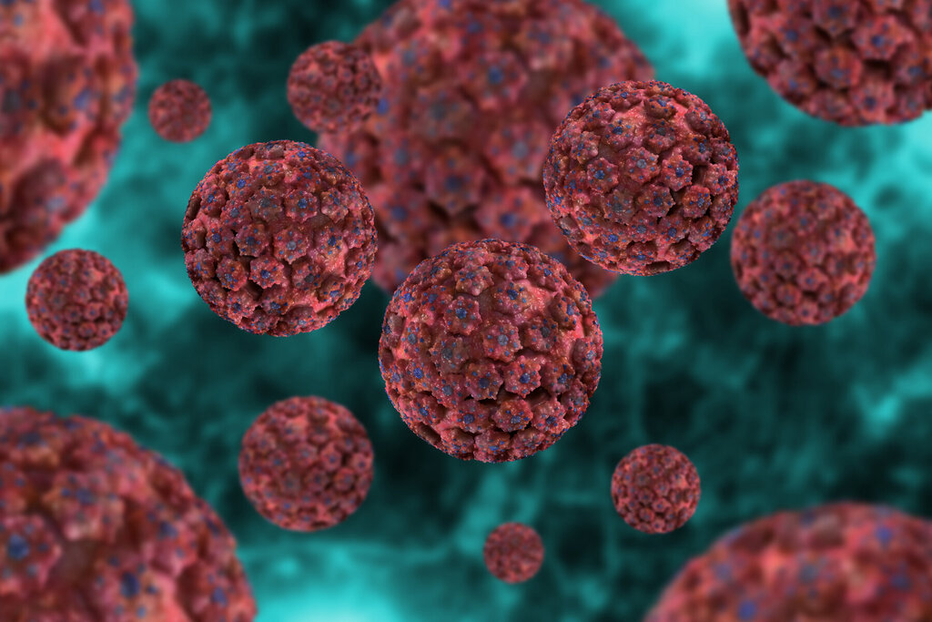 Bildet viser hpv-virus.