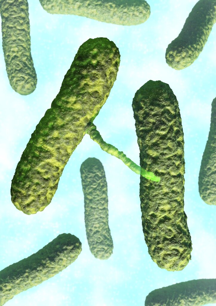 Bildet viser bakterier som overfører informasjon til hverandre.