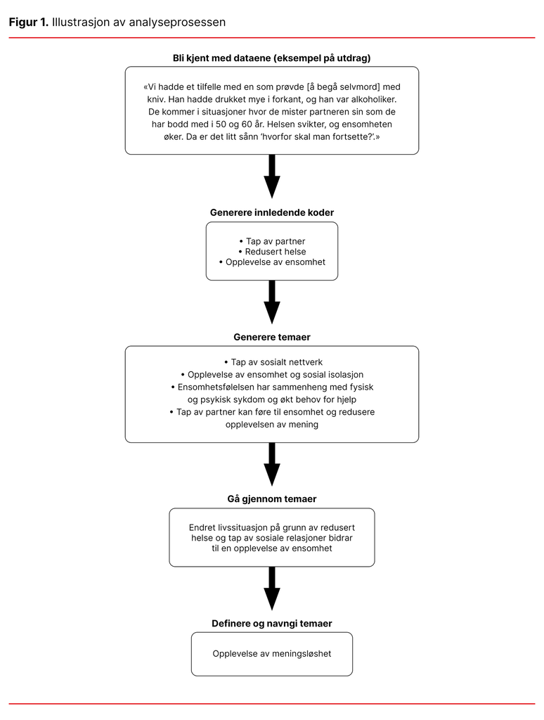 Figur 1. Illustrasjon av analyseprosessen 