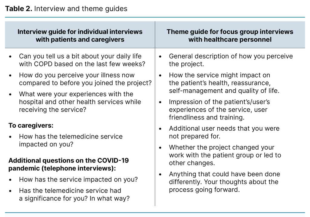 Table 2. Interview and theme guides 