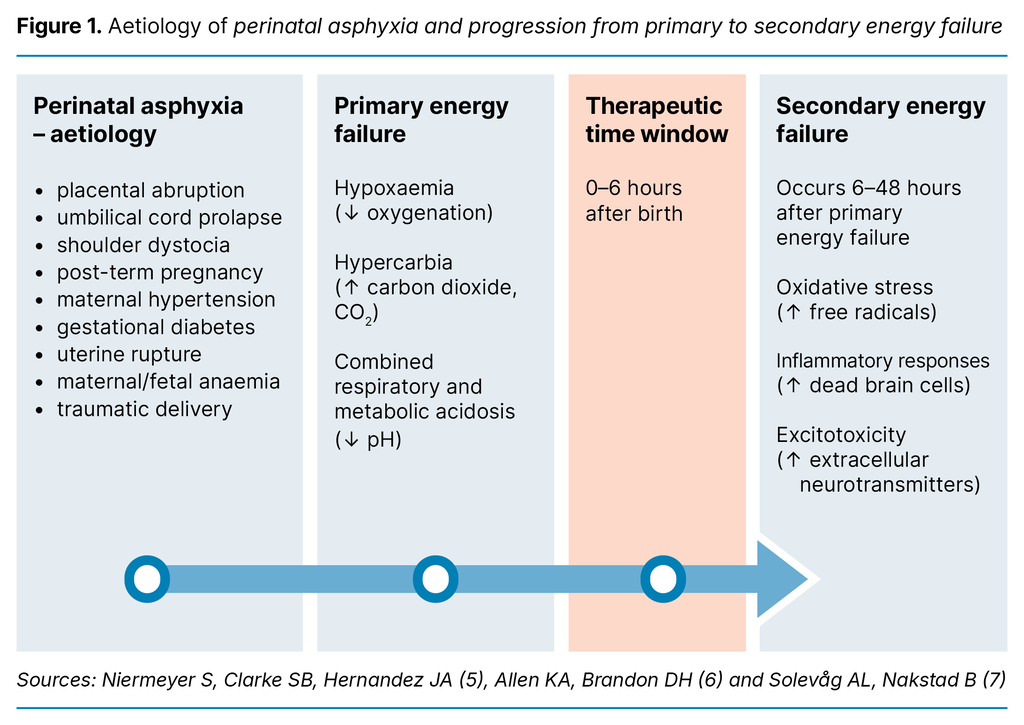 Figure 1. Aetiology of perinatal asphyxia and progression from primary to secondary energy failure