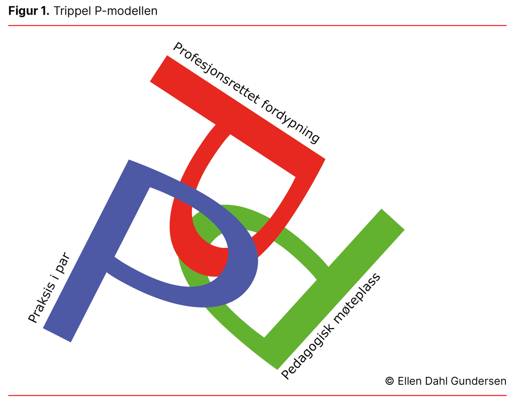 Figur 1. Trippel P-modellen