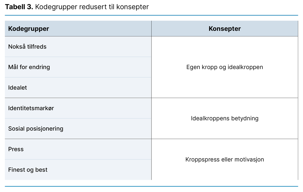 Tabell 3. Kodegrupper redusert til konsepter