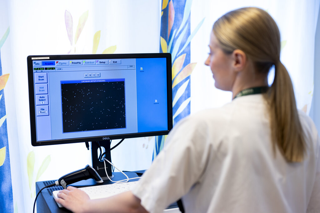 Bildet viser bioingeniør som ser på sæd på skjerm.