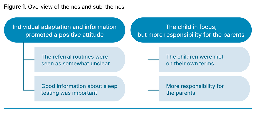 Figure 1. Overview of themes and sub-themes 