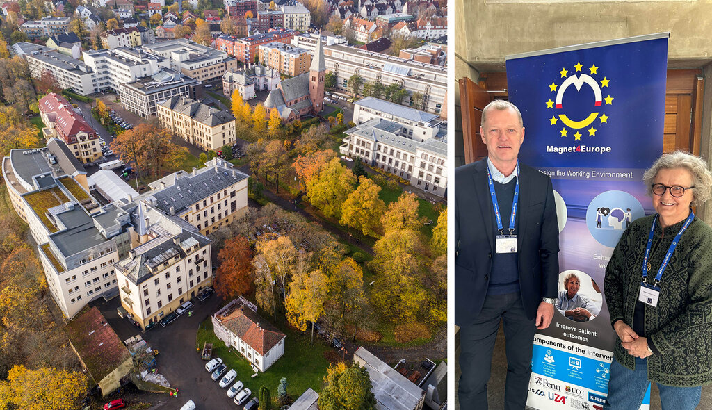 Bildet er en kollasj som viser Lovisenberg Diakonale Sykehus i Oslo og forskerne Ingeborg Strømseng Sjetne og Anners Lerdal