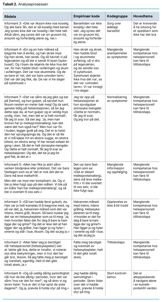 Tabell 2. Analyseprosessen 