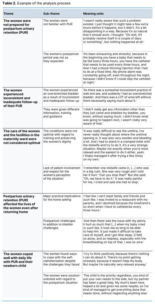 Table 2. Example of the analysis process