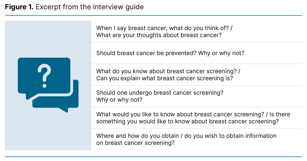 Figure 1. Excerpt from the interview guide 