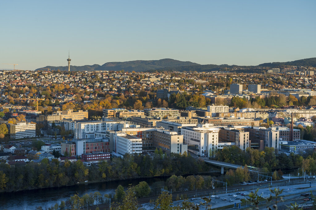 Oversiktsbilde over St. Olavs hospital