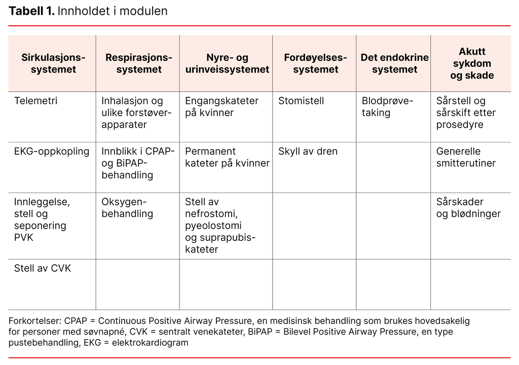 Tabell. Innholdet i modulen