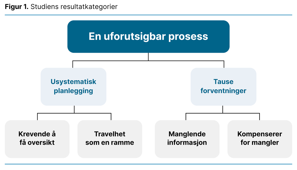 Figur 1. Studiens resultatkategorier 