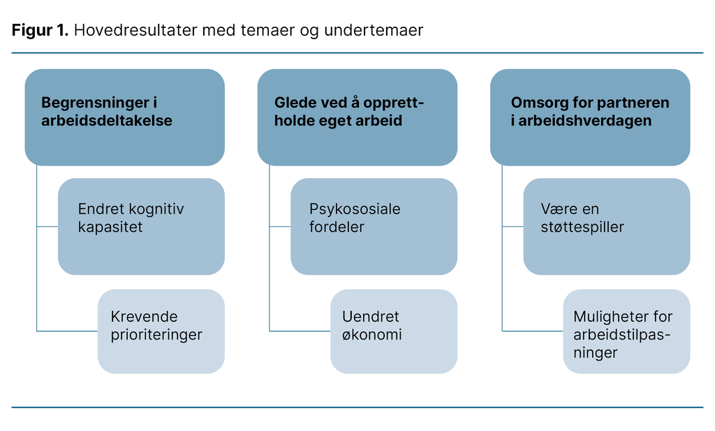 Figur 1. Hovedresultater med temaer og undertemaer 